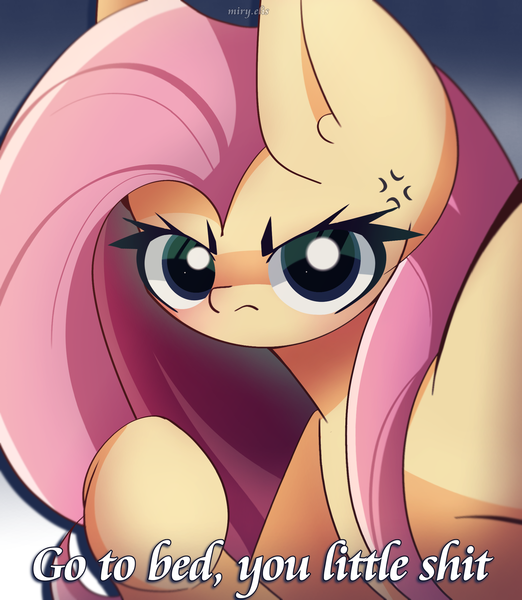 Size: 2000x2300 | Tagged: safe, artist:miryelis, derpibooru import, fluttershy, pegasus, pony, big ears, big eyes, hush now quiet now, image, long hair, meme, png, serious, solo, text, vulgar