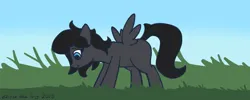 Size: 1850x740 | Tagged: safe, artist:eklipsethepony, derpibooru import, oc, oc:eklipse, unofficial characters only, pegasus, pony, colt, eating, foal, grass, grass field, image, male, pegasus oc, png, solo, wings, younger