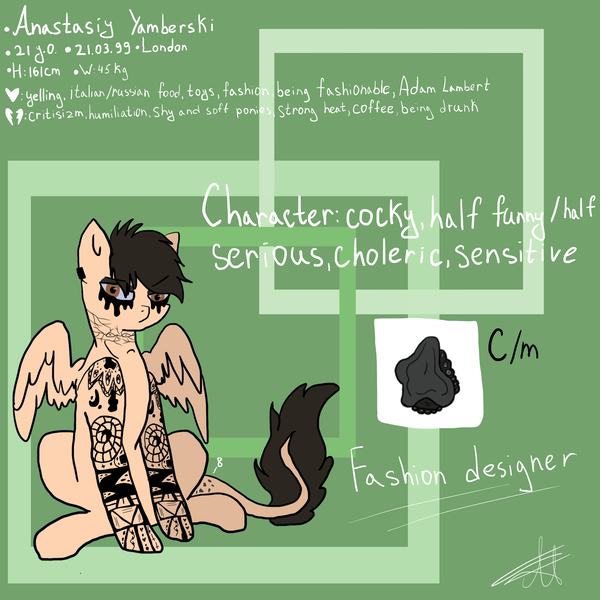 Size: 5000x5000 | Tagged: safe, artist:deadsmoke, derpibooru import, oc, oc:anastasiy, pegasus, fashion designer, image, information, png, reference sheet, text