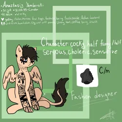 Size: 5000x5000 | Tagged: safe, artist:deadsmoke, derpibooru import, oc, oc:anastasiy, pegasus, fashion designer, image, information, png, reference sheet, text