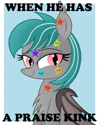 Size: 3016x3793 | Tagged: safe, artist:rainbowšpekgs, derpibooru import, oc, oc:malachite cluster, unofficial characters only, bat pony, pony, bat pony oc, bat wings, bust, chest fluff, image, meme, mischievous, png, praise, smiling, stars, sticker, text, wings