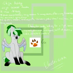 Size: 5000x5000 | Tagged: safe, artist:deadsmoke, derpibooru import, oc, oc:chiya, pegasus, gradient hooves, image, png, reference sheet, sitting, unhappy