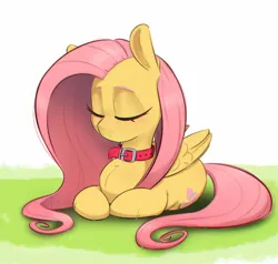Size: 1000x952 | Tagged: safe, artist:inkypuso, derpibooru import, fluttershy, pegasus, pony, collar, cute, eyes closed, female, image, jpeg, lying down, mare, pony pet, ponyloaf, prone, shyabetes, simple background, sleeping, solo, white background