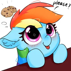 Size: 1080x1080 | Tagged: safe, artist:twiliset, derpibooru import, rainbow dash, pegasus, pony, big eyes, blushing, cookie, cute, daaaaaaaaaaaw, female, food, hooves on the table, image, looking up, mare, please, png, red face, say anything, simple background, smiling, solo, table, tongue out