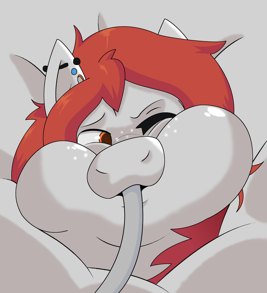 Size: 2000x2192 | Tagged: safe, artist:brushwork, derpibooru import, oc, oc:scarlett lane, pegasus, pony, air inflation, hose, image, inflation, male, one eye closed, one eye open, png, puffy cheeks, solo, tube