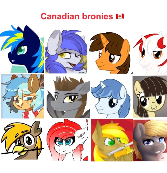 Size: 2627x2713 | Tagged: safe, derpibooru import, wild fire, oc, oc:chime maplewood, oc:devin, oc:ej, oc:gabriel, oc:making amends, oc:pad, oc:ultra marine, oc:winter solstice, unnamed oc, bat pony, deer, earth pony, gryphon, pegasus, pony, unicorn, brony, canada, canadian, canadian flag, deer oc, female, flag, image, jpeg, male, mare, non-pony oc, safw, stallion