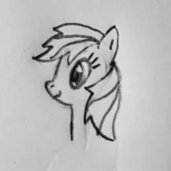 Size: 1000x1000 | Tagged: safe, derpibooru import, rainbow dash, pegasus, pony, black and white, grayscale, icon, image, jpeg, monochrome, newbie artist training grounds, profile picture, solo, traditional art
