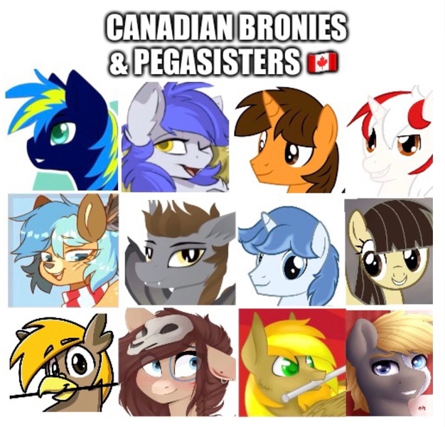 Size: 1102x1056 | Tagged: safe, derpibooru import, wild fire, oc, oc:chime maplewood, oc:devin, oc:ej, oc:gabriel, oc:ondrea, oc:pad, oc:ultra marine, oc:winter solstice, unnamed oc, bat pony, deer, earth pony, gryphon, pegasus, pony, unicorn, canada, canadian, clothes, cute, dialogue, female, group, image, jpeg, looking at you, male, mare, one eye closed, scarf, stallion, text, tribal, tribal markings, wink