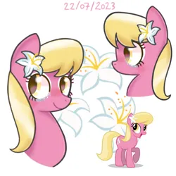 Size: 1280x1280 | Tagged: safe, artist:pnamb101z, derpibooru import, lily, lily valley, earth pony, pony, female, image, png, solo