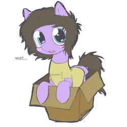 Size: 4500x4500 | Tagged: safe, artist:cactuscruncher, derpibooru import, ponified, earth pony, pony, absurd resolution, blue eyes, blushing, box, brown mane, clothes, emo, facial hair, image, josh franceschi, looking at you, male, messy mane, messy tail, open mouth, png, pony in a box, purple coat, shiny eyes, shirt, simple background, solo, stallion, t-shirt, tail, talking to viewer, transparent background, you me at six