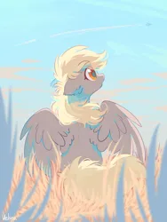 Size: 1500x2000 | Tagged: safe, artist:mirtash, derpibooru import, derpy hooves, pegasus, pony, contrail, cute, derpabetes, ear fluff, female, field, floppy ears, foreground, grass, image, looking up, mare, outdoors, partially open wings, plane, png, rear view, redraw, sitting, sky, solo, wings