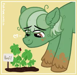 Size: 1000x980 | Tagged: safe, artist:pink-pone, derpibooru import, oc, oc:basil, unofficial characters only, earth pony, pony, basil (plant), image, muddy hooves, png, smiling, solo, unshorn fetlocks