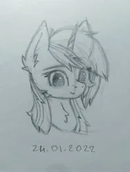 Size: 3120x4160 | Tagged: safe, artist:keupoz, derpibooru import, oc, oc:velvet remedy, unofficial characters only, pony, unicorn, fallout equestria, bust, cheek fluff, drawing, ear fluff, eye clipping through hair, eyebrows, eyebrows visible through hair, image, jpeg, neck fluff, pencil drawing, sketch, solo, traditional art