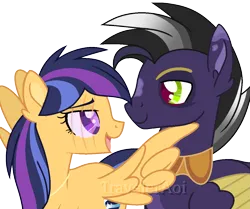 Size: 1249x1042 | Tagged: safe, artist:traveleraoi, derpibooru import, oc, oc:nova star sparkle, oc:xipilli, unofficial characters only, hybrid, pegasus, pony, base used, blind, blind eye, colored pupils, colored wings, duo, duo male and female, eyebrows, facial markings, female, flirting, gradient mane, image, interspecies offspring, jewelry, looking at each other, looking at someone, male, mare, necklace, next generation, oc x oc, offspring, parent:ahuizotl, parent:daring do, parent:flash sentry, parent:twilight sparkle, parents:darizotl, parents:flashlight, pegasus oc, peytral, png, raised eyebrow, scar, shipping, simple background, stallion, straight, transparent background, watermark, wings