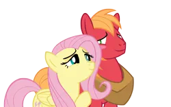 Size: 4000x2500 | Tagged: safe, anonymous artist, derpibooru import, big macintosh, fluttershy, earth pony, pegasus, pony, the last crusade, bedroom eyes, blushing, female, fluttermac, high res, image, looking at each other, looking at someone, male, mare, png, shipping, simple background, smiling, smiling at each other, stallion, straight, transparent background, vector