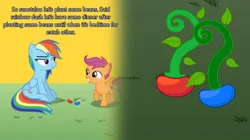 Size: 828x465 | Tagged: safe, artist:owenstevendallimore, derpibooru import, rainbow dash, scootaloo, pegasus, pony, series:rainbow dash and the beanstalk, beans, beanstalk, engrish, folded wings, food, image, jpeg, misspelling, plant, sitting, wings