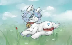 Size: 1680x1050 | Tagged: safe, artist:corpsplant, derpibooru import, oc, unofficial characters only, earth pony, pony, bell, bell collar, collar, earth pony oc, female, grass, image, png, solo