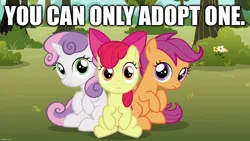 Size: 1280x720 | Tagged: safe, derpibooru import, edit, edited screencap, screencap, apple bloom, scootaloo, sweetie belle, the fault in our cutie marks, adoption, caption, cute, cutie mark crusaders, image, image macro, jpeg, looking at you, text