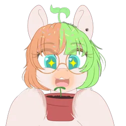 Size: 2000x2000 | Tagged: safe, artist:xcinnamon-twistx, derpibooru import, oc, oc:vein, unofficial characters only, earth pony, bust, glasses, hair accessory, image, plant, png, portrait, pot, solo, sprout, unshorn fetlocks