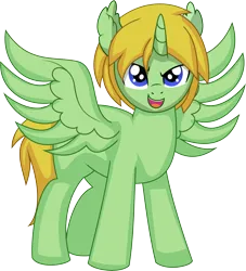 Size: 6083x6710 | Tagged: safe, artist:cyanlightning, derpibooru import, oc, oc:soulful shield, unofficial characters only, alicorn, pony, .svg available, absurd resolution, image, looking at you, male, png, simple background, solo, stallion, transparent background, vector