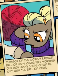 Size: 466x617 | Tagged: safe, artist:andypriceart, derpibooru import, idw, unnamed character, unnamed pony, earth pony, pony, spoiler:comic, spoiler:comicff8, blonde, clothes, image, official comic, png, sweater, yarn, yarn ball