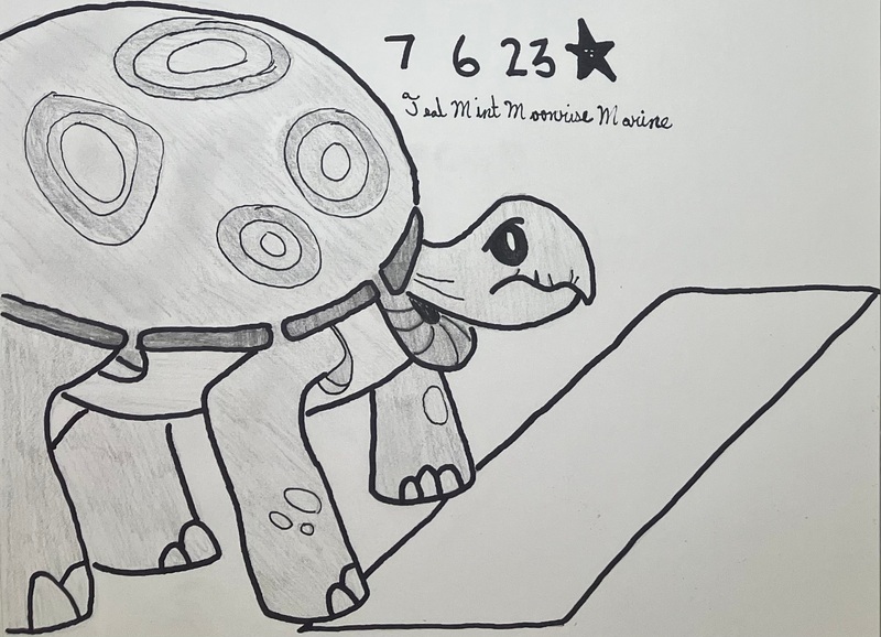 Size: 2006x1450 | Tagged: safe, artist:mlpfantealmintmoonrise, derpibooru import, tank, turtle, may the best pet win, animal, atg 2023, finish line, g4, image, jpeg, newbie artist training grounds, pen drawing, pencil drawing, photo, traditional art