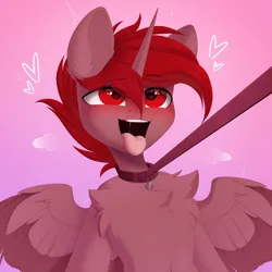 Size: 4096x4096 | Tagged: safe, artist:kebchach, derpibooru import, oc, oc:hardy, alicorn, pony, ahegao, blushing, chest fluff, collar, ear fluff, heart, heart eyes, high res, image, leash, male, open mouth, png, solo, spread wings, stallion, tongue out, wingding eyes, wings