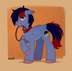 Size: 5102x5013 | Tagged: safe, artist:birdoffnorth, derpibooru import, oc, oc:dawn chaser, unofficial characters only, pegasus, pony, blushing, collar, colored hooves, commission, floppy ears, g4 style, image, leash, looking at you, male, male oc, mouth hold, pegasus oc, pet play, png, shy, simple background, smiling, smiling at you, solo, stallion, stallion oc, standing, submissive, tail, two toned mane, two toned tail, unshorn fetlocks, wings