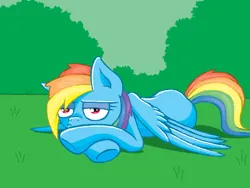 Size: 520x390 | Tagged: safe, artist:the-nose, derpibooru import, pegasus, pony, bored, crossed hooves, doodle or die, female, grass, grass field, image, lidded eyes, lying down, mare, outdoors, png, prone, solo