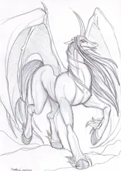 Size: 2059x2912 | Tagged: safe, artist:darkaudi1728, derpibooru import, oc, oc:inferno, unofficial characters only, alicorn, bat pony, bat pony alicorn, pony, bat wings, horn, image, jpeg, solo, traditional art, wings