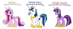 Size: 5309x2138 | Tagged: safe, anonymous artist, derpibooru import, princess cadance, shining armor, twilight sparkle, twilight sparkle (alicorn), alicorn, pony, alicornified, beard, brother, brother and sister, caption, closed mouth, crown, cutie mark, description is relevant, eyebrows, eyelashes, facial hair, family, female, folded wings, goatee, happy, high res, hoof shoes, horn, image, image macro, jewelry, looking, looking at you, male, mare, moustache, name, nostrils, older, older shining armor, older twilight, png, race swap, regalia, royalty, shiningcorn, siblings, simple background, sister, sisters, stallion, standing, story included, text, transparent background, wall of tags, wings
