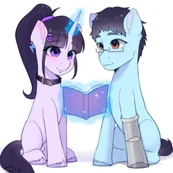 Size: 2048x2048 | Tagged: safe, artist:xiaowu07, derpibooru import, oc, unofficial characters only, earth pony, pony, unicorn, amputee, book, disabled, duo, duo male and female, female, glasses, image, magic, male, mare, png, ponytail, prosthetic limb, prosthetics, shipping, simple background, sitting, smiling, stallion, straight, white background