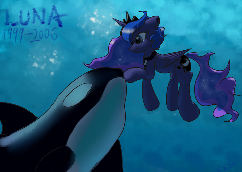 Size: 3035x2150 | Tagged: safe, artist:cavity, derpibooru import, princess luna, alicorn, orca, pony, blue eyes, blue mane, blue tail, boop, bubble, crepuscular rays, crown, cute, digital art, ethereal mane, ethereal tail, feather, female, flowing mane, flowing tail, folded wings, high res, horn, image, jewelry, jpeg, looking at each other, looking at someone, mare, ocean, orca luna, peytral, regalia, smiling, smiling at each other, solo, starry mane, starry tail, sunlight, swimming, tail, underwater, water, wings