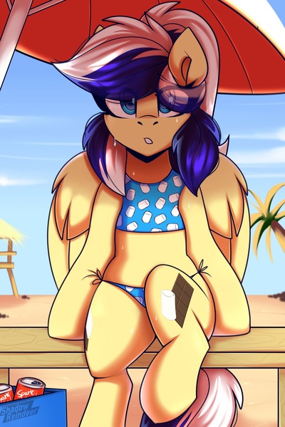 Size: 1500x2250 | Tagged: safe, artist:shadowreindeer, derpibooru import, oc, oc:animatedpony, pegasus, beach, commission, image, jpeg, solo, ych result, your character here