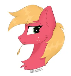 Size: 2492x2673 | Tagged: safe, artist:hlebushek, derpibooru import, big macintosh, earth pony, pony, bust, image, male, png, portrait, simple background, solo, stallion, white background