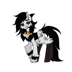 Size: 1280x1280 | Tagged: safe, artist:moodipone, derpibooru import, oc, oc:double m, unofficial characters only, earth pony, pony, bell, bell collar, black mane, black tail, boots, brown eyes, clothes, collar, earth pony oc, image, jacket, looking at you, male, png, shoes, simple background, smiling, smiling at you, solo, stallion, tail, white coat, wingding eyes