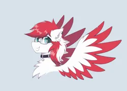 Size: 1864x1339 | Tagged: safe, alternate version, artist:coarfdraw, derpibooru import, oc, oc:driftbeat, unofficial characters only, pegasus, pony, chest fluff, collar, colored wings, colored wingtips, ear fluff, ear piercing, image, looking at you, male, piercing, png, smiling, smiling at you, spread wings, stallion, wings