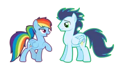 Size: 1024x616 | Tagged: safe, artist:cutepuppygirl10, derpibooru import, rainbow dash, soarin', pegasus, pony, female, image, looking at each other, looking at someone, male, mare, png, shipping, simple background, soarindash, stallion, straight, vector