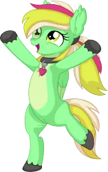 Size: 5148x8222 | Tagged: safe, artist:cyanlightning, derpibooru import, oc, oc:gumdrops, unofficial characters only, pegasus, pony, .svg available, absurd resolution, bipedal, collar, female, image, looking up, mare, png, ponytail, simple background, solo, transparent background, unshorn fetlocks, vector