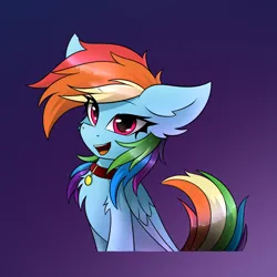 Size: 1300x1300 | Tagged: safe, artist:rejiser, derpibooru import, rainbow dash, pegasus, pony, black background, collar, floppy ears, halfbody, image, looking at you, png, simple background, solo, tail, wings