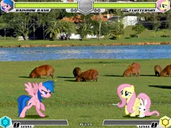 Size: 994x746 | Tagged: safe, artist:tom artista, derpibooru import, angel bunny, firefly, fluttershy, rainbow dash, pegasus, pony, rabbit, fighting is magic, g1, animal, bipedal, capybara, curitiba, fan game, female, grass, houses, image, jpeg, lake, male, mare, new, palette swap, real life background, recolor, stage, tree, trio, water