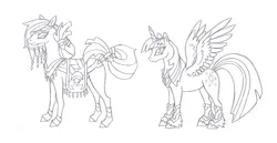 Size: 4352x2252 | Tagged: safe, artist:foldawaywings, derpibooru import, twilight sparkle, twilight sparkle (alicorn), oc, unnamed oc, alicorn, pony, saddle arabian, clothes, duo, female, grayscale, image, lineart, mare, monochrome, pencil drawing, peytral, png, realistic anatomy, realistic horse legs, simple background, traditional art, white background