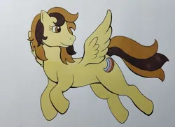 Size: 2527x1835 | Tagged: safe, artist:darkhestur, derpibooru import, oc, oc:countess sweet bun, unofficial characters only, pegasus, g1 style, image, marker drawing, pegasus oc, png, simple background, solo, traditional art, white background, wings