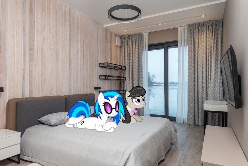 Size: 1280x854 | Tagged: safe, artist:alexiy777, artist:zacatron94, derpibooru import, edit, editor:jaredking779, octavia melody, vinyl scratch, earth pony, pony, unicorn, bed, bowtie, duo, female, image, irl, jpeg, lying down, mare, photo, ponies in real life, prone, sploot, sunglasses