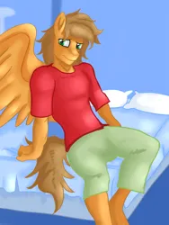 Size: 1620x2160 | Tagged: safe, alternate version, artist:jbond, derpibooru import, oc, oc:jacky breeze, anthro, pegasus, pony, anthro oc, bed, bedroom, clothes, image, male, on bed, pegasus oc, png, shirt, sitting, solo, spread wings, t-shirt, wings