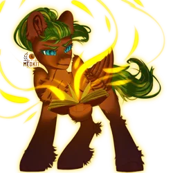 Size: 2500x2500 | Tagged: safe, artist:medkit, derpibooru import, oc, oc:melon heart, unofficial characters only, pegasus, pony, blue eyes, book, chest fluff, colored eyebrows, colored eyelashes, colored hooves, colored pupils, dark, ear fluff, ears up, eyebrows, eyebrows down, fallout equestria oc, feathered wings, female, folded wings, freckles, glow, glowing eyes, green mane, heart shaped, high res, hoof fluff, hoof hold, horseshoes, image, leg fluff, long mane, long tail, looking at someone, mare, pegasus oc, png, ponytail, quadrupedal, red coat, signature, simple background, sketch, smiling, solo, spell, standing, sternocleidomastoid, striped mane, striped tail, tail, transparent background, two toned coat, wall of tags, warm magic, watermark, wing fluff, wings, yellow magic