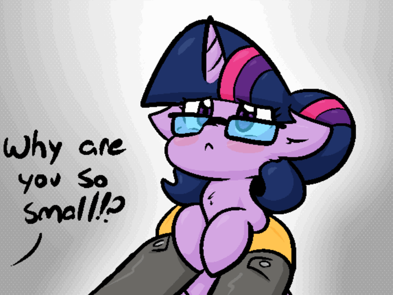 Size: 800x600 | Tagged: safe, alternate version, artist:zutcha, derpibooru import, sci-twi, twilight sparkle, ponified, human, pony, unicorn, equestria girls, :<, animated, blush sticker, blushing, chest fluff, cute, equestria girls ponified, explain your smolness, female, gif, holding a pony, image, mare, offscreen character, smol, solo focus, twiabetes, unicorn sci-twi, what do you want