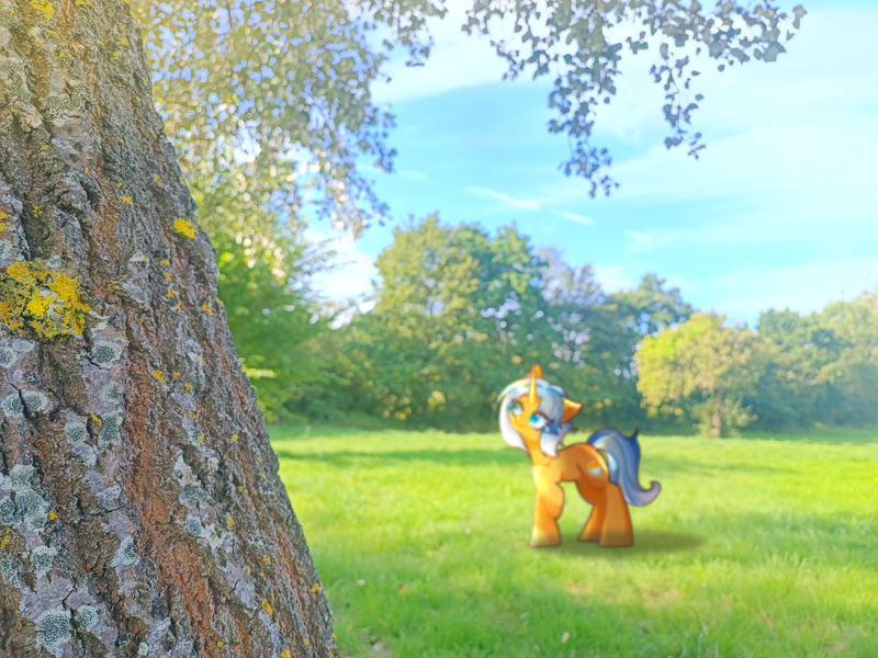 Size: 4000x3000 | Tagged: safe, artist:miwq, derpibooru import, oc, oc:aurore soleilevant, unofficial characters only, pony, unicorn, image, irl, orange coat, photo, png, ponies in real life, sky, solo, tree