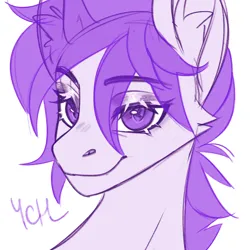 Size: 2048x2048 | Tagged: safe, artist:enderbee, derpibooru import, oc, alicorn, earth pony, pegasus, pony, unicorn, auction, auction open, bust, commission, female, image, male, mare, png, portrait, smiling, solo, stallion, ych example, ych sketch, your character here