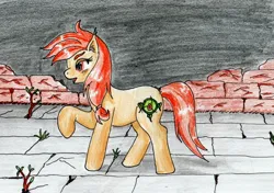 Size: 3731x2632 | Tagged: safe, artist:40kponyguy, derpibooru import, oc, oc:safe haven, unofficial characters only, earth pony, pony, derpibooru exclusive, ear fluff, female, image, jpeg, mare, raised hoof, redraw, solo, traditional art